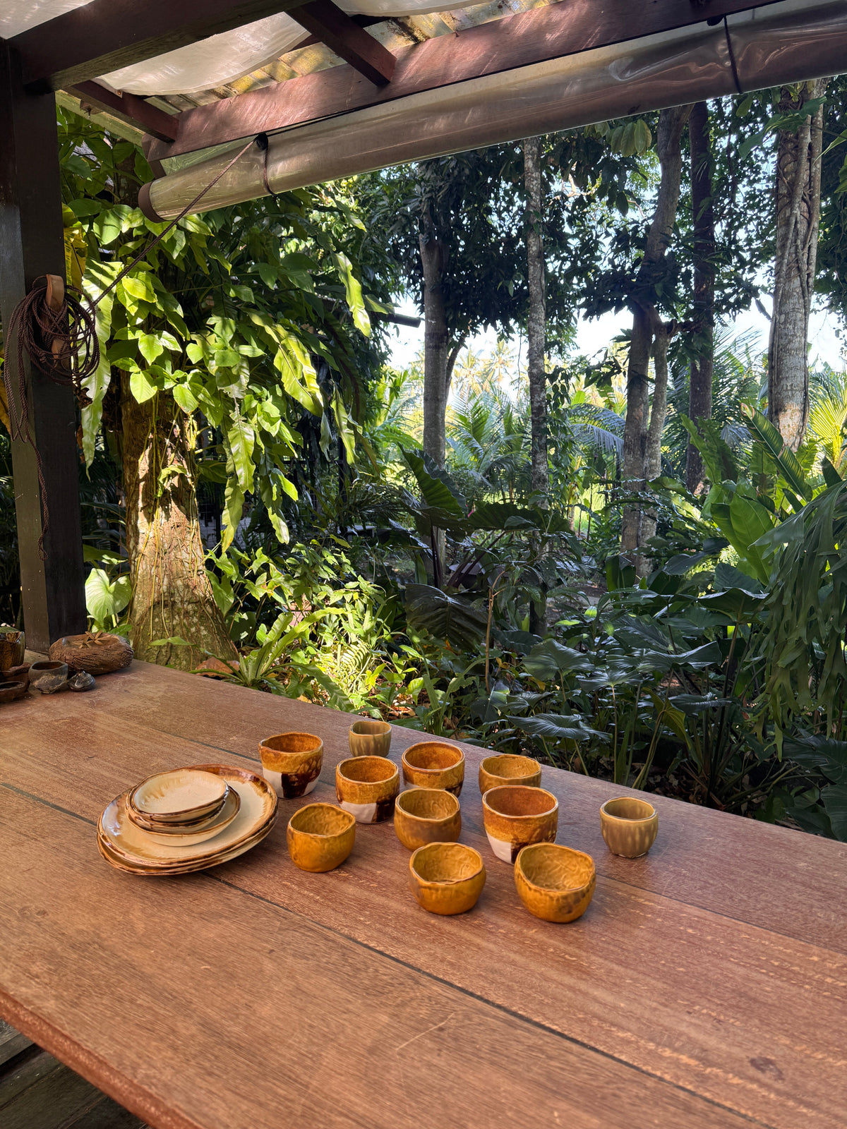 Handmade ceramic cups and plates arranged on a wooden table surrounded by tropical greenery in Bali
