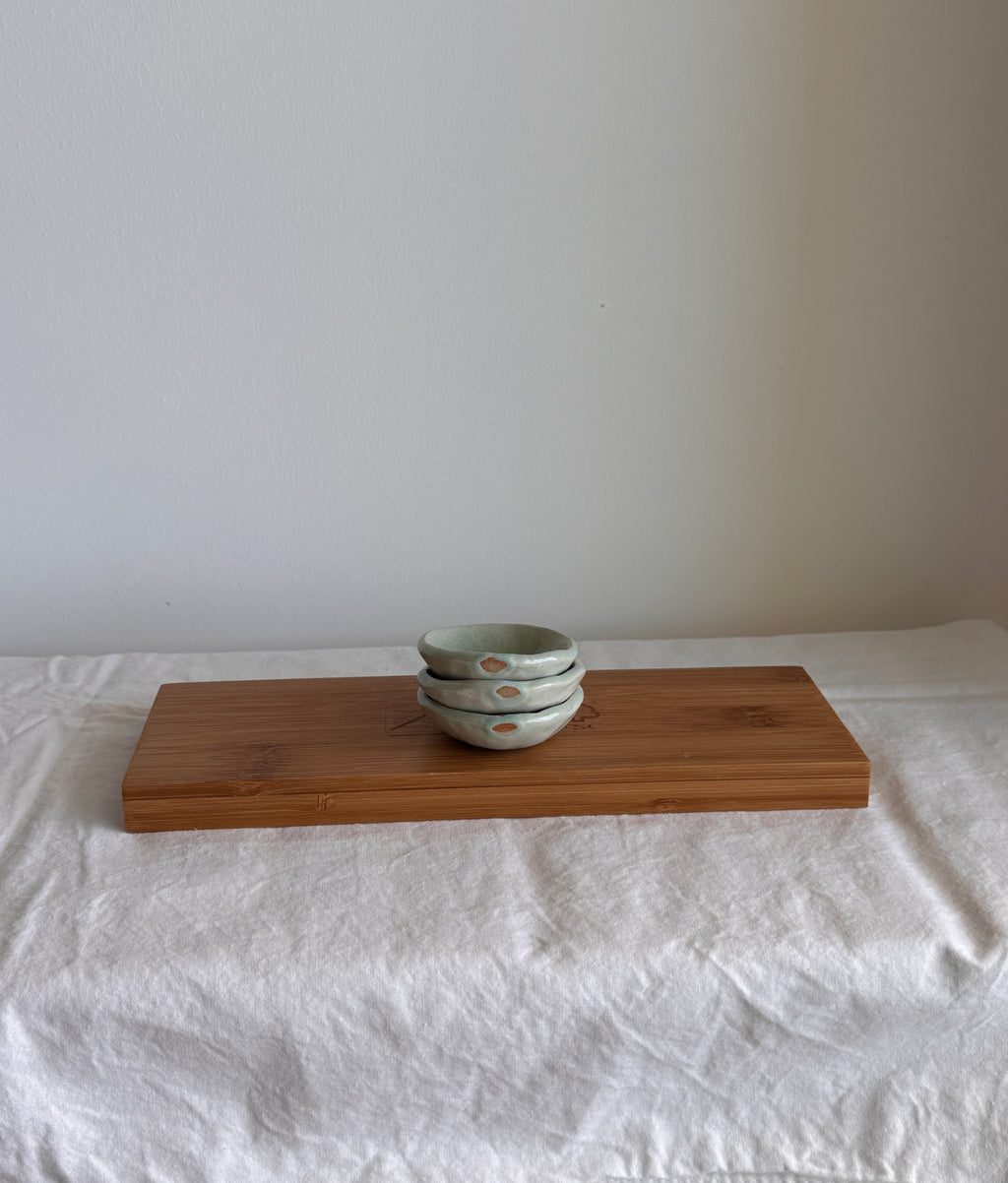 Mini Dish Set — Agua